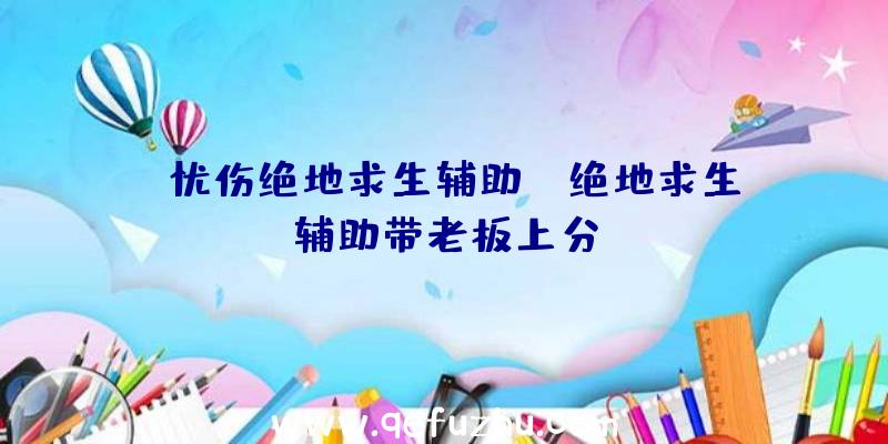 「忧伤绝地求生辅助」|绝地求生辅助带老板上分